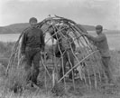 building a shelter